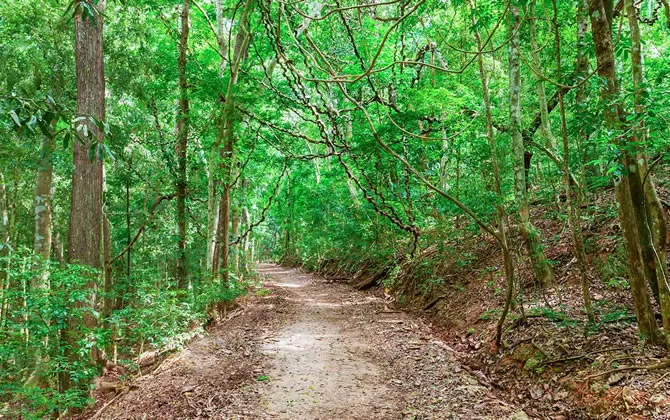 Udawatta Kele Sanctuary